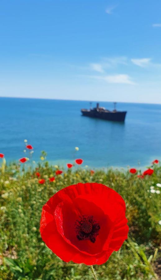 Готель Black Sea View Костінешть Екстер'єр фото